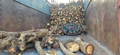 वन विभाग की बड़ी कार्रवाई: रायपुर क्षेत्र में तीन अवैध आरा मशीनें और भारी मात्रा में अवैध लकड़ी जब्त
झालावाड़ | दिनांक:...