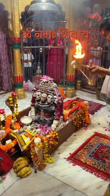 हर हर महादेव 🕉️🚩
Follow @my_world_prayagraj
#mahadev #bholenath #harharmahadev #mahakaal #baba