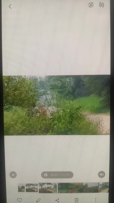 gaon sirsali me nizi tubewell ke pipe sarkari jagah dbane ke virod krne par sir fodne ki dhamki