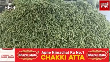 मटर के रेट में इजाफा ,किसानों के चेहरे खिले
हिमाचल समय - Himachal Samay Media #vikrmadityesingh #educationalcontent #hea...