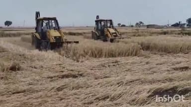 श्योपुर: प्रशासन ने शासकीय भूमि से अवैध अतिक्रमण हटाया, बुलडोजर चलाकर गेहूं की फसल नष्ट की