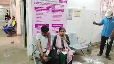 शिकारीपाड़ा: शिकारीपाड़ा में पागल कुत्ते का आतंक: 10 लोग घायल, 7 दुमका रेफर