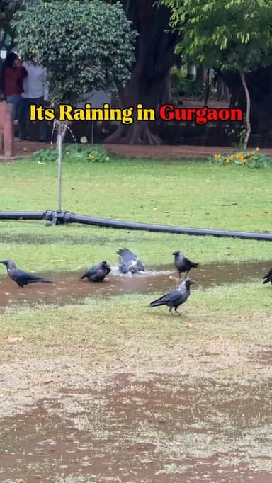 Its Raining in Gurugram