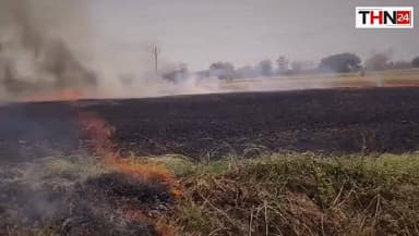 सारंगढ़ के मौहाढोडा पंचायत में भीषण आग: 10–15 एकड़ फसल जलकर खाक, दमकल टीम मौके पर..
#सारंगढ़ #मौहाढोडा #भीषणआग #Breakin...