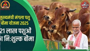 Mangla Pashu Bima Yojana : पशु के मरने पर मिलेगा मुआवजा, करवाए फ्री में कराए मंगला पशु बीमा #bima #jaivardhannews #insur...