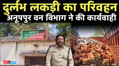 अनूपपुर : दुर्लभ प्रजाति के खैर (कत्था) की तस्करी पर वन विभाग की कार्रवाई, ट्रक जप्त – चालक फरार । Anuppur news Bijuri n...