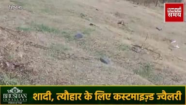 शिमला जिला के रोह्डू क्षेत्र में ओलावृष्टि बागवानों की चिंता बड़ी
हिमाचल समय - Himachal Samay Media #heavysnofall #educa...