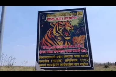 रामटेक: दुर्गम किरंगी सर्रा येथील महिलांना मशरूम उत्पादनाच्या माध्यमातून वनविभागाने दिला स्वयं रोजगार