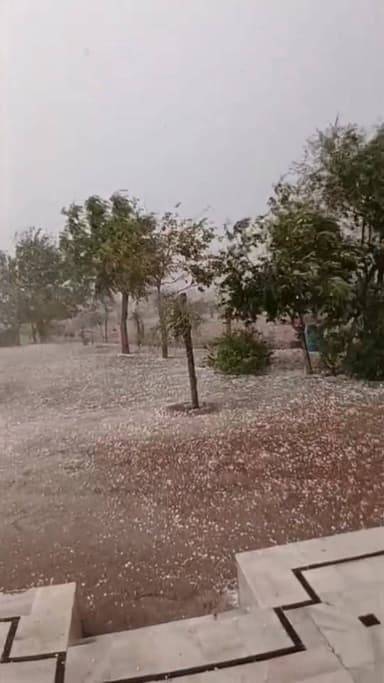 बालेसर उपखंड क्षेत्र में किसानों के अरमान आं*सुओं में बहे ..
Bhajanlal Sharma
Gajendra Singh Shekhawat
Babusingh Rath...