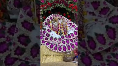 #आज के संध्या दर्शन हमारी लाड़ली जू 27/03/2026✨बरसाना धाम*_