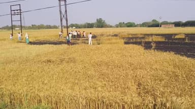 आज ग्राम गडही मे आग लगने से दो बिगहा करीब गेहु जल कर राख हो गया