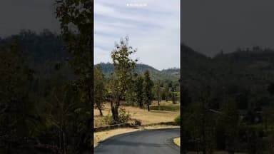 #shorts #song #viral #trending