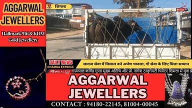 शिमला: समाज सेवा में मिसाल बने अर्पण चावला, गौ सेवा के लिए मिला सम्मान#ArpanChawla
#GauSeva
#SocialWorker
#HimachalNews
...