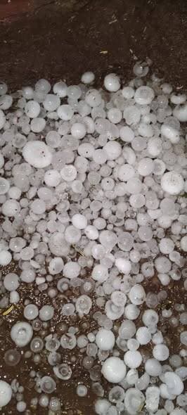 ओसियां क्षेत्र के आसपास बारिश के साथ ओले....
#बारिश #ओले #मौसम