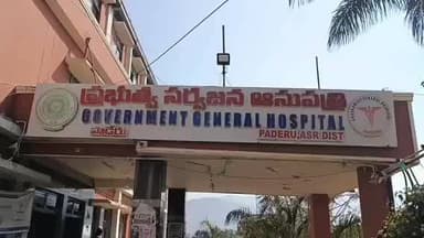 పాడేరులో తేనెటీగల దాడిలో 20 మందికి గాయాలు, ముగ్గురు పరిస్థితి విషమం