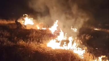 জলঙ্গি: ভর সন্ধ্যায় আগুনে প্রায় ৫০০ বিঘা জমির গম পুড়ে ছাই হয়ে গেল সাগরপাড়ায়! কৃষকদের চোখে জল