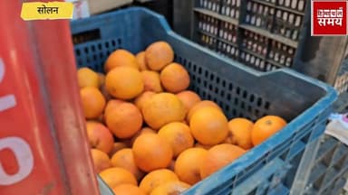 31 मार्च 2026 को सोलन मंडी के भाव
हिमाचल समय - Himachal Samay Media #vikrmadityesingh #educationalcontent #BreakingNews ...