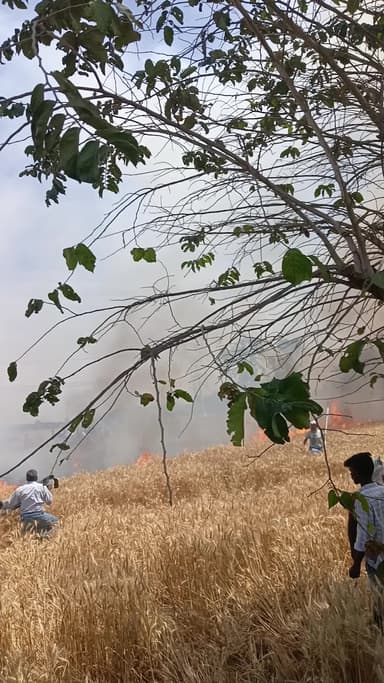 अफजलपुर संतों में शॉर्ट सर्किट से 7 बीघा गेंहू जल कर राख @Kaushambi_Local_Updates @bakarhusain23 #kaushambilive