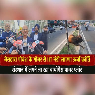 बेसहारा गोवंश के गोबर से IIT मंडी लाएगा ऊर्जा क्रांति
संस्थान में लगने जा रहा बायोगैस पावर प्लांट
#IITMandi #BiogasPlant...