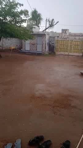 भारी मात्रा में नुकसान हुआ है किसानों का बारीश के आले गिरे सरसों व गेहूं व जो में नुकसान हुआ है