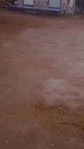 गाँव मालपुर में बारिश के साथ ओले गिरे किसानों के चेहरे पर मायुसी जान बाहरी नुकसान हुआ फसलों में