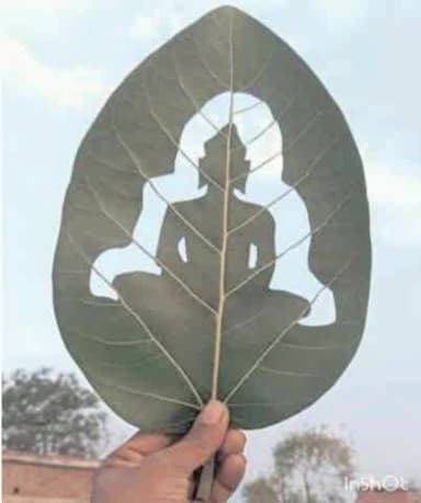 नगरी: लीफ आर्टिस्ट ने पीपल के पत्तों पर भगवान महावीर की सुंदर आकृति उकेरी