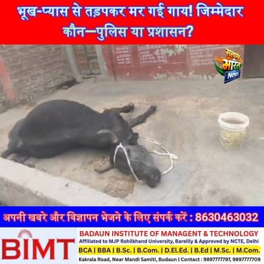 भूख-प्यास से तड़पकर मर गई गाय! जिम्मेदार कौन—पुलिस या प्रशासन? | #BadayunNews #AnimalCruelty #ViralNews #UPPolice #Break...