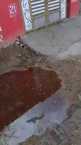 गांव रूपरा लांबिया खुर्द पंचायत@