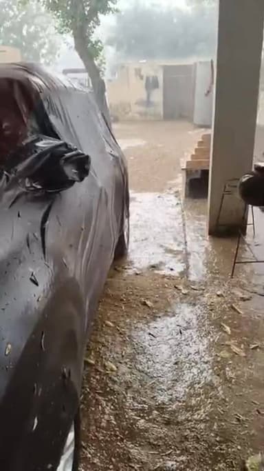 बाढ़डा:- बडराई गांव में ओलावृष्टि ने खेतों में मचाई तबाही।