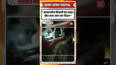 बिजली गिरते ही 3 एकड़ गेहूं राख #kisannews #weatheralert #raisennews #breakingnews #viral