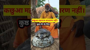 कछुआ महराज की जय ! #trend #trending #Result #कछुआ #aayurvedic #mahadev #viralvideo #kustrog #medical