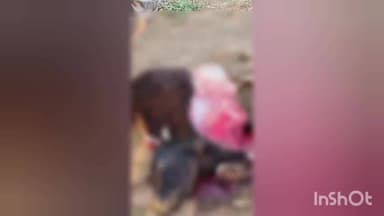 કાલોલ: સગનપુરા ગામની સીમમાં દિપડાએ વધુ એક ગૌવંશનું ભક્ષણ કરતાં પંથકના લોકોમાં ફફડાટ જોવા મળ્યો