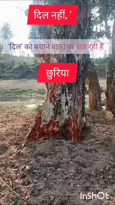 दिल' को बचाने वालों पर चल रही हैं छुरियाँ