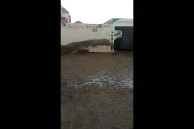 ਮਲੋਟ: ਮੀਂਹ ਅਤੇ ਹੋਈ ਗੜ੍ਹੇਮਾਰੀ ਨਾਲ ਮਲੋਟ ਉਪ ਮੰਡਲ ਦੇ ਪਿੰਡਾਂ ਵਿੱਚ ਕਣਕ ਦੀ ਫਸਲ ਦਾ ਨੁਕਸਾਨ