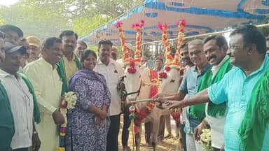 ಶಿಡ್ಲಘಟ್ಟ: ತಾಲೂಕಿನ ಚಿಕ್ಕತೇಕಹಳ್ಳಿ ಗ್ರಾಮಸ್ಥರಿಂದ ದ್ಯಾವಪ್ಪನ ಗುಡಿಯಲ್ಲಿ ಅದ್ದೂರಿ ಎತ್ತುಗಳ ಮೆರವಣಿಗೆ ಹಾಗು ಕೋಲಾಟ ನೃತ್ಯ ಪ್ರದರ್ಶಿಸಿದ ಭಕ್ತಾದಿಗಳು