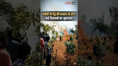 अमेठी में गेंहू की फसल में लगी भीषण आग #now44news #ytshorts #breakingnews #up #amethi