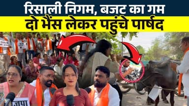 Risali Nigam, Budget का गम.... दो भैंस लेकर पहुंचे पार्षद || KP News || Janvi
#news #bhilainews #kpnewsbhilai #kpnewscg...