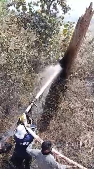 सतर्कता से टली बड़ी जंगल आग की घटना, फायर टीम ने समय रहते पाया काबू
दिनांक 31 मार्च 2026 को फायर स्टेशन टनकपुर को सूचना...