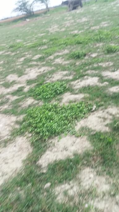 nitin jii kii hai na tu hii Aatma ka