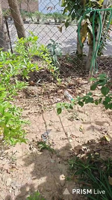 Live from DLF Mullanpur New Chandigarh
Follow our Facebook Channel Satrangi Channel, Kullu Bhuntar Halchal, Mullanpur T...