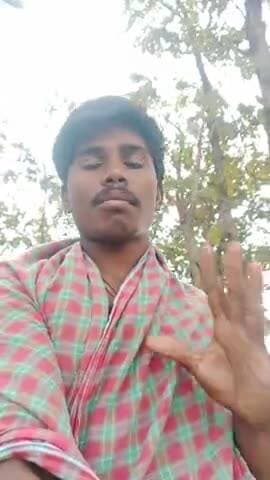 आज हमारे गांव खारिया खास बिजली करने से तीन बेजुबान जानवरों की मौत