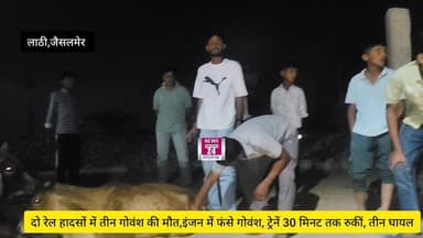 #jaisalmer लाठी क्षेत्र में दो रेल हादसे, तीन गोवंश बने काल का ग्रास... तीन गंभीर घायल,रुणीचा एक्सप्रेस की चपेट में पांच...