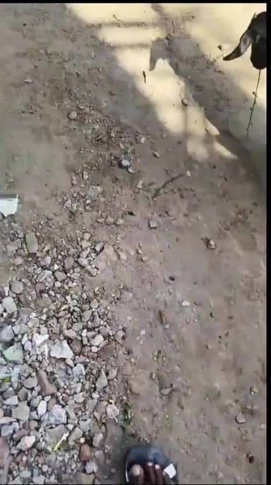 यह वीडियो केवल #nagarnigamgorkahpur को दिखाने के लिए बनाया गया है।#nagarnigamgorakhpur#