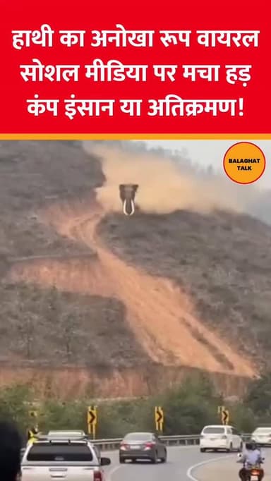 हाथी का अनोखा रूप वायरल
सोशल मीडिया पर मचा हड़कंप
इंसान या अतिक्रमण—किसकी गलती?
.
.
.
.
#balaghattalk