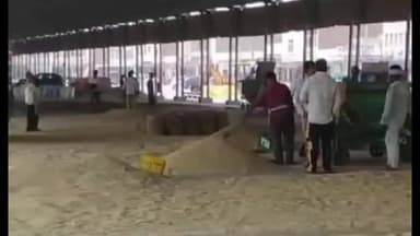 हनुमानगढ़: जिले में गेहूं खरीद पर संकट, स्लॉट सिस्टम और बारदाने की कमी से व्यवस्था बिगड़ने की आशंका