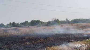 वारिसलीगंज: वारसलीगंज प्रखंड के कोचगंव गांव में अचानक गेहूं की फसल में लगी आग, किसानों को हुआ लाखों का नुकसान