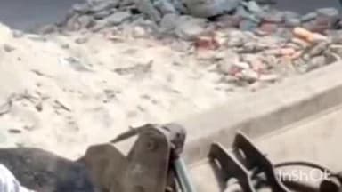 पलिया: पलिया नगर में एक गाय की तड़पने की सूचना मिली, मौके पर पहुंचे गौ रक्षक दल के पदाधिकारी