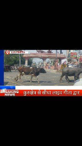 #कुरुक्षेत्र गीता द्वारा से सीधा लाइव प्रसारण
#पिपली #कॉलोनी