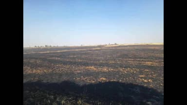 बनखेड़ी: नरवाई जलाने पर सख्ती: बनखेड़ी के 13 और पिपरिया के 2 किसानों पर जुर्माना, प्रशासन की चेतावनी