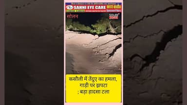 कसौली में तेंदुए का हमला, गाड़ी पर झपटा; बड़ा हादसा टला #solan #kasoli #lapord #car